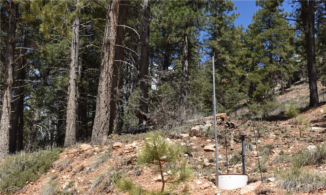 2195 Sleepy Meadow Lane, Duck Creek Village, Utah image 9