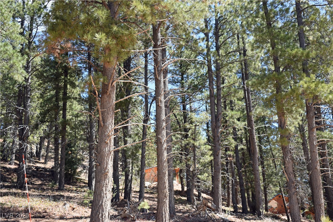 2195 Sleepy Meadow Lane, Duck Creek Village, Utah image 5