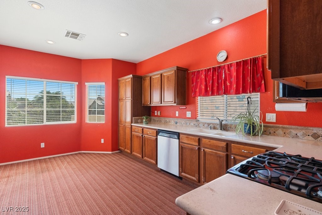6243 Black Mane Way