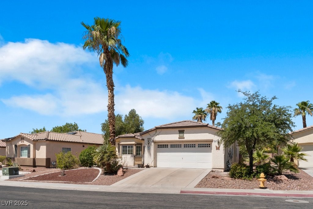 6243 Black Mane Way