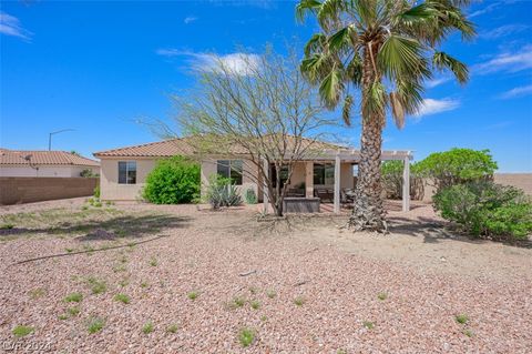 Single Family Residence in Palm Gardens NV 192 Fig Leaf Place 44.jpg