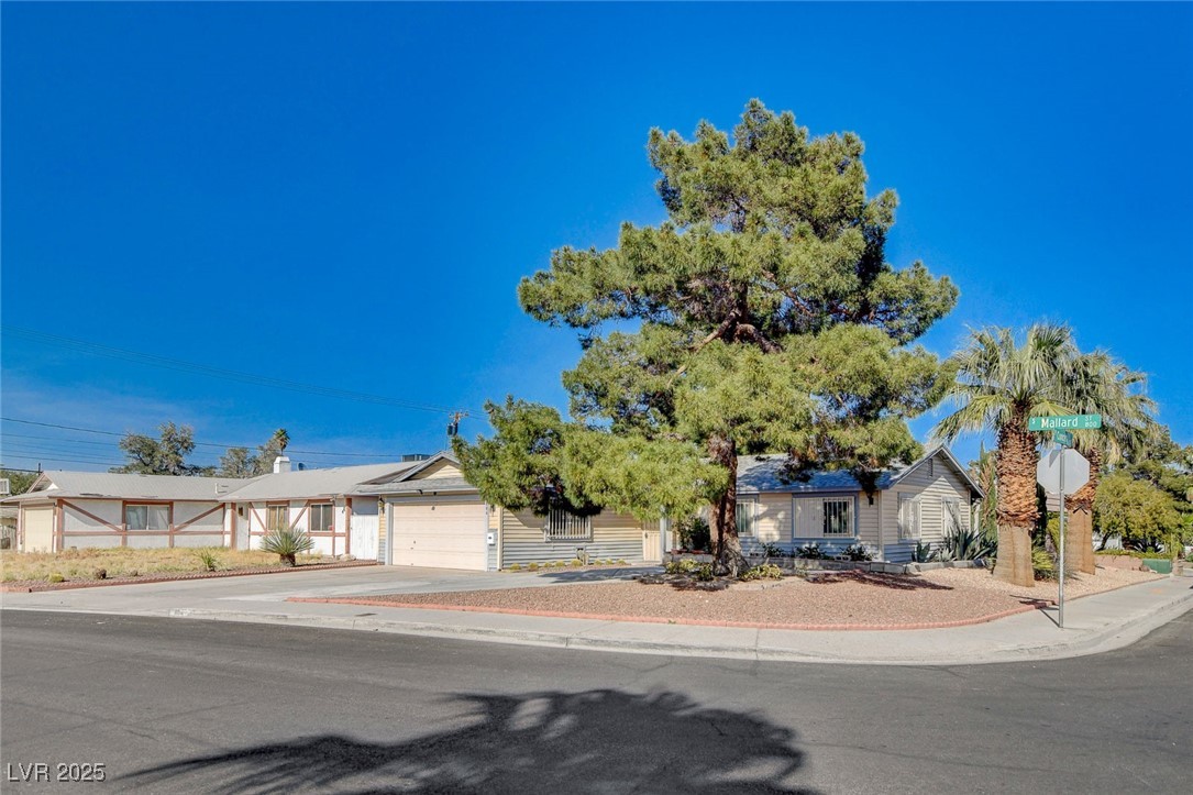 804 S Mallard Street, Las Vegas, Nevada image 2
