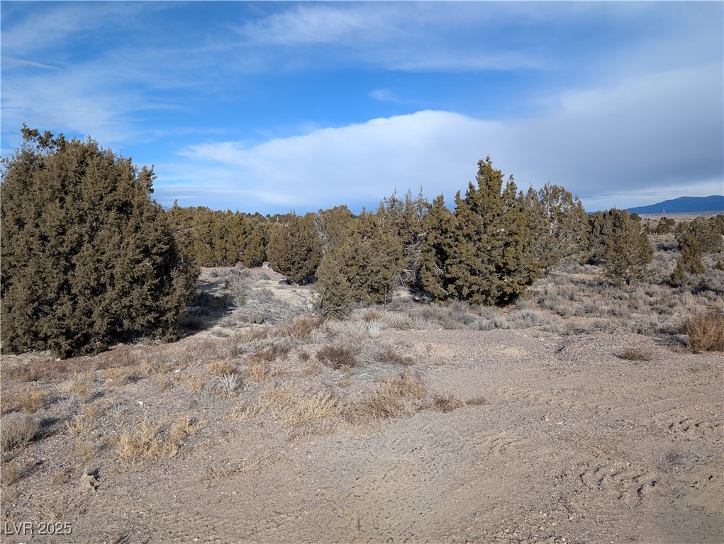 Ocallaghan Ct., Pioche, Nevada image 1