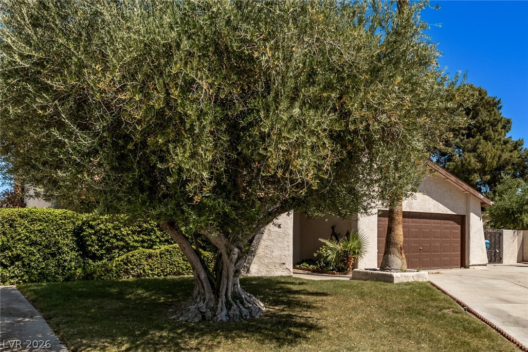 3709 Pamplona Circle