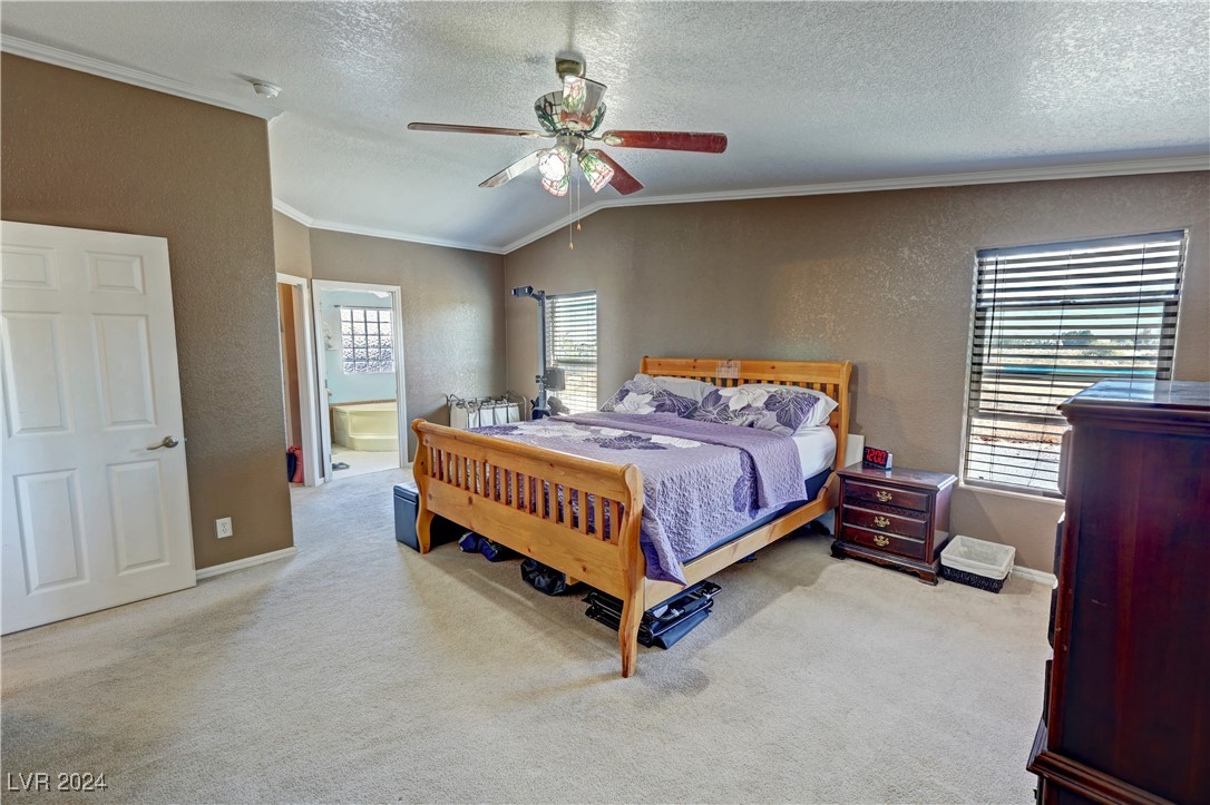 3330 W Silver Sage Drive, Pahrump, Nevada image 21