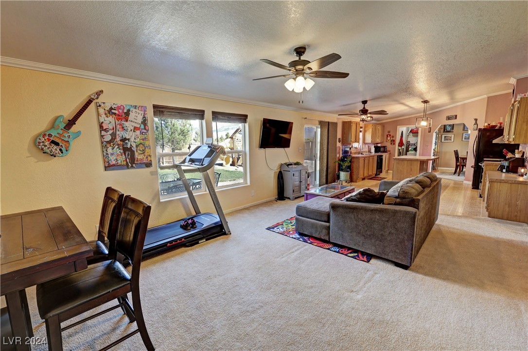 3330 W Silver Sage Drive, Pahrump, Nevada image 19