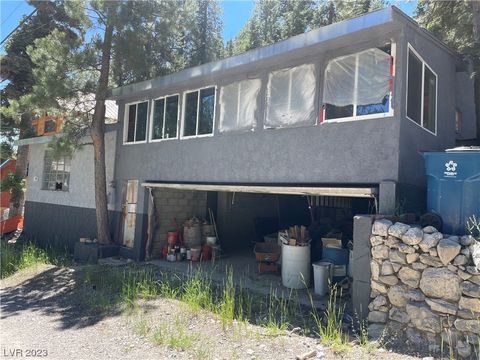 Photo of 4651 Aspen Avenue, Mount Charleston, NV 89124 (MLS # 2514326)