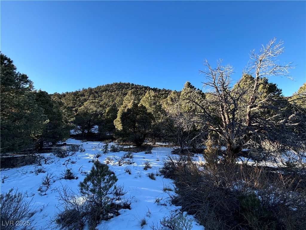 P-18 Butte Valley, Ely, Nevada image 1