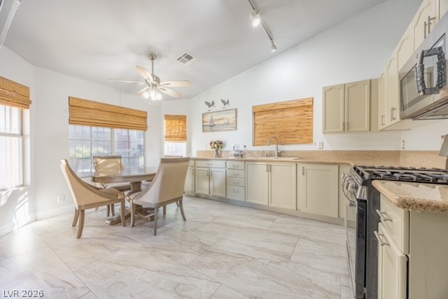 4533 Chestnut Blaze Drive