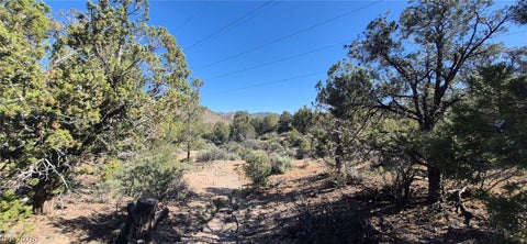 Tiny photo for Paul Warner Way, Las Vegas, NV 89161 (MLS # 2781636)
