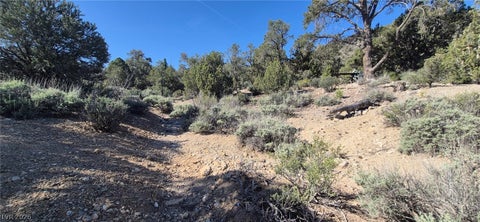 Tiny photo for Paul Warner Way, Las Vegas, NV 89161 (MLS # 2781636)