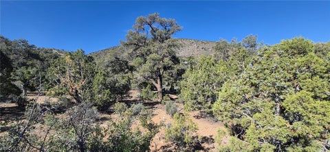 Tiny photo for Paul Warner Way, Las Vegas, NV 89161 (MLS # 2781636)