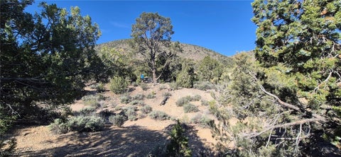 Tiny photo for Paul Warner Way, Las Vegas, NV 89161 (MLS # 2781636)