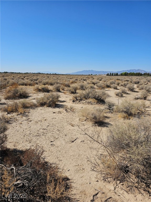 6880 E Rayfield Road, Pahrump, Nevada image 2