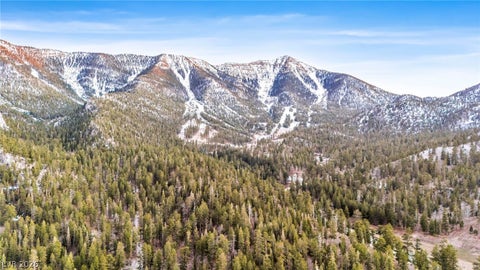 Tiny photo for 2162 Via Spes Nostra Street, Mount Charleston, NV 89124 (MLS # 2773941)