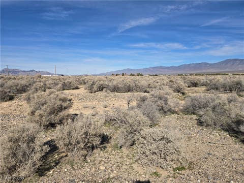 Vacant Land For Sale - 1200 Gorgono Drive<br/> Nye County, Pahrump, NV 89060