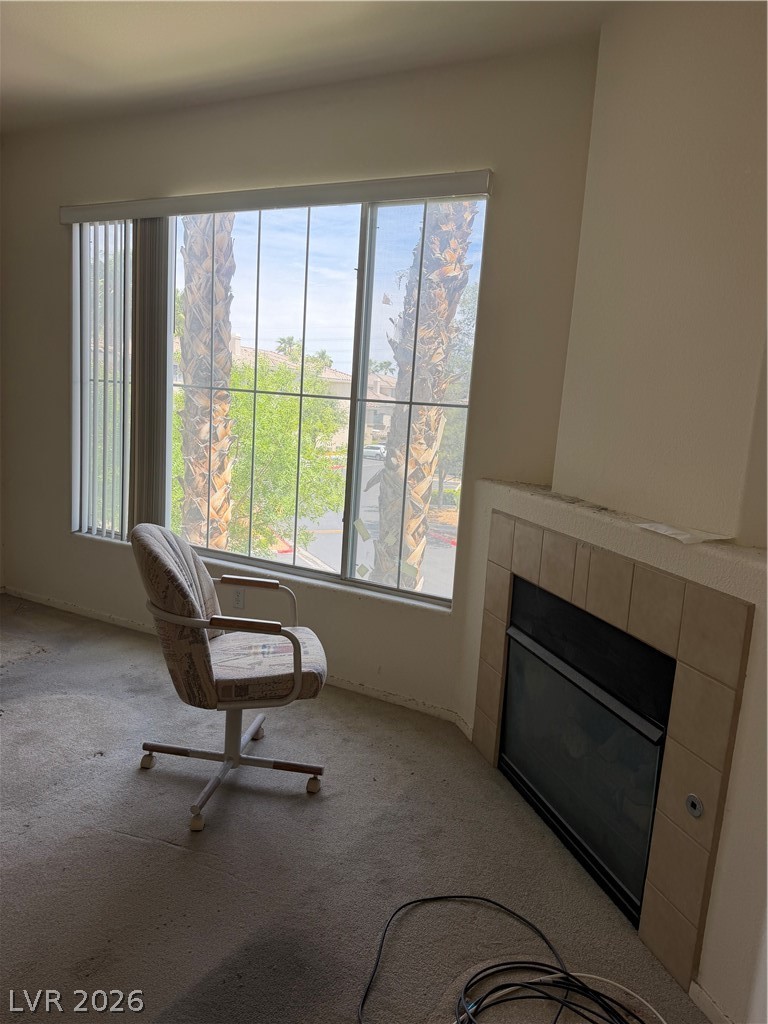 7119 S Durango Drive 213
