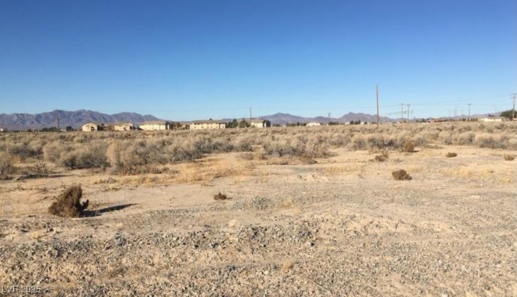 3110 Underbrush Avenue, Pahrump, Nevada image 2