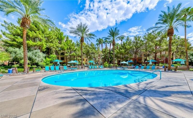 260 E Flamingo Road 203