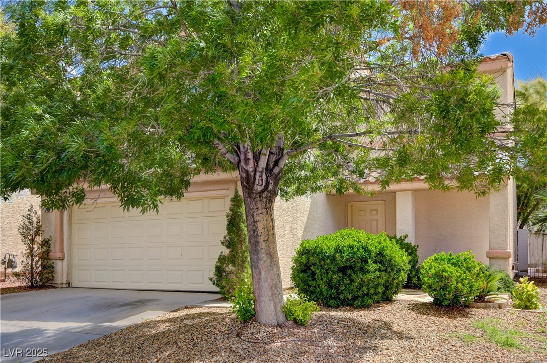 7924 Horn Tail Court, Las Vegas, Nevada image 3
