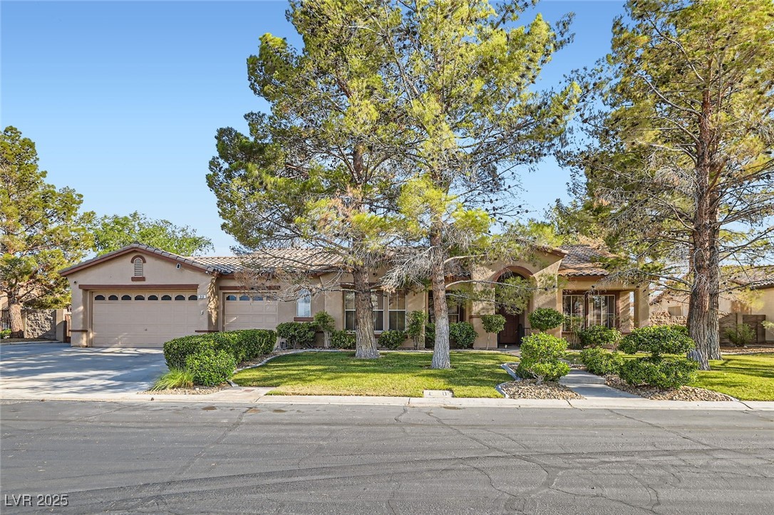 313 Glenridding Street