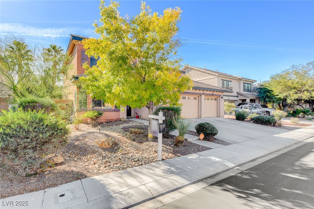 4209 Bridesmaid Falls Avenue