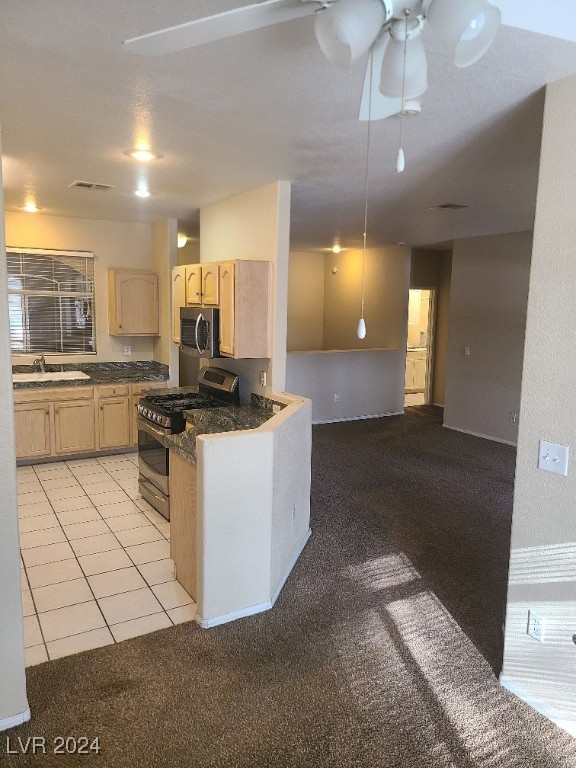 2050 W Warm Springs Road #421, Henderson, Nevada image 9