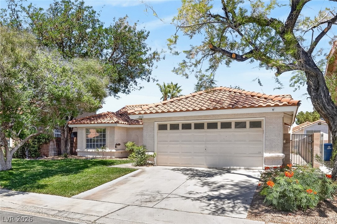 2802 Barrel Cactus Drive