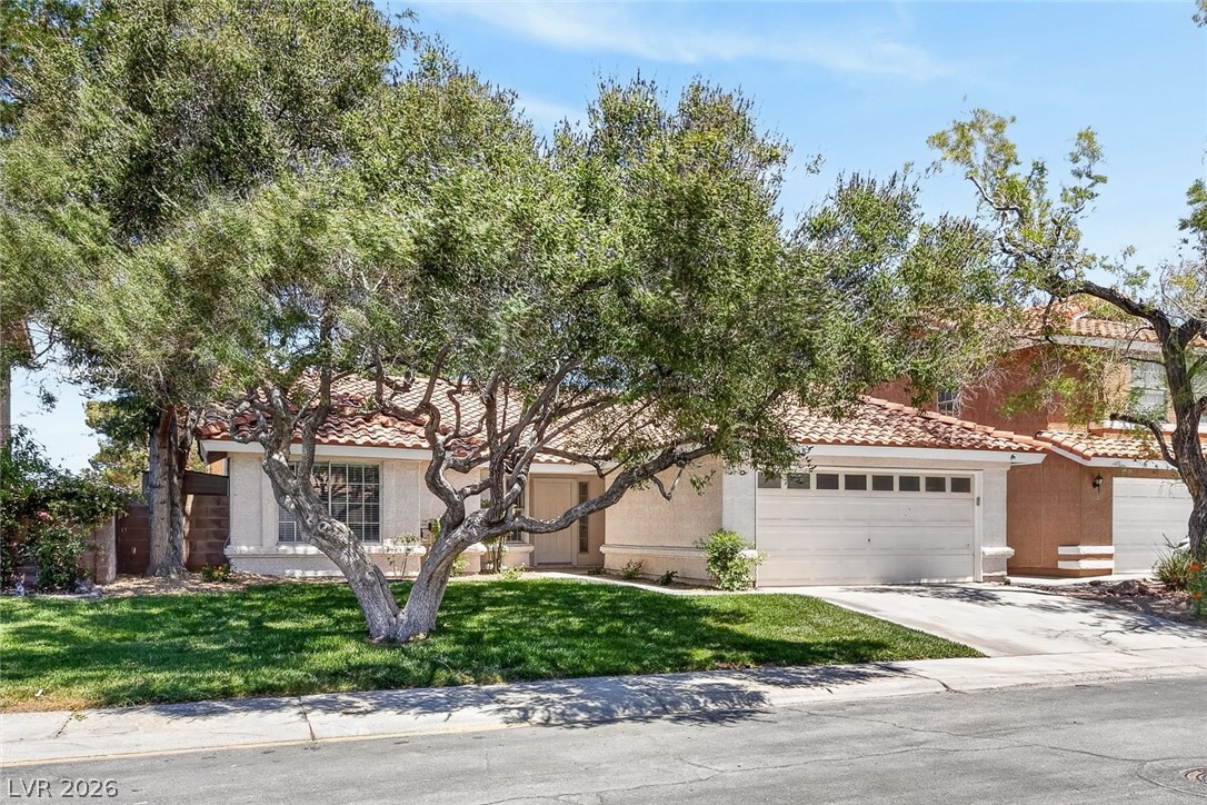 2802 Barrel Cactus Drive
