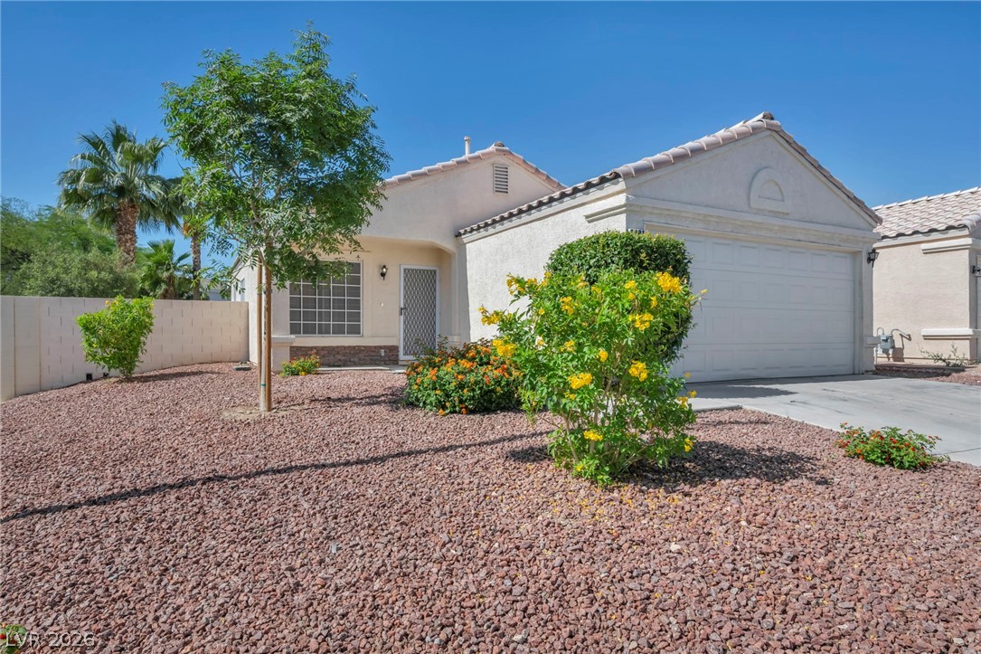 8201 Cactus Root Court