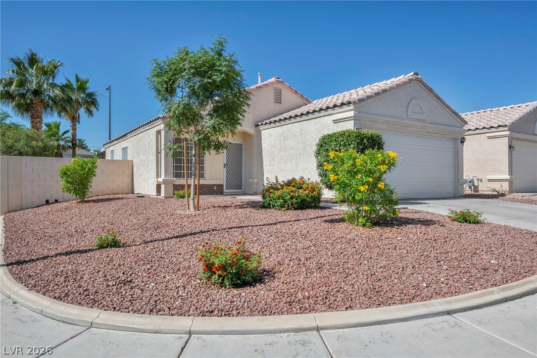 8201 Cactus Root Court