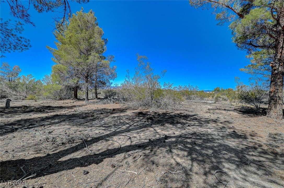 2735 Shasta Street, Sandy Valley, Nevada image 21