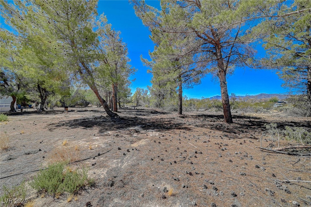 2735 Shasta Street, Sandy Valley, Nevada image 22