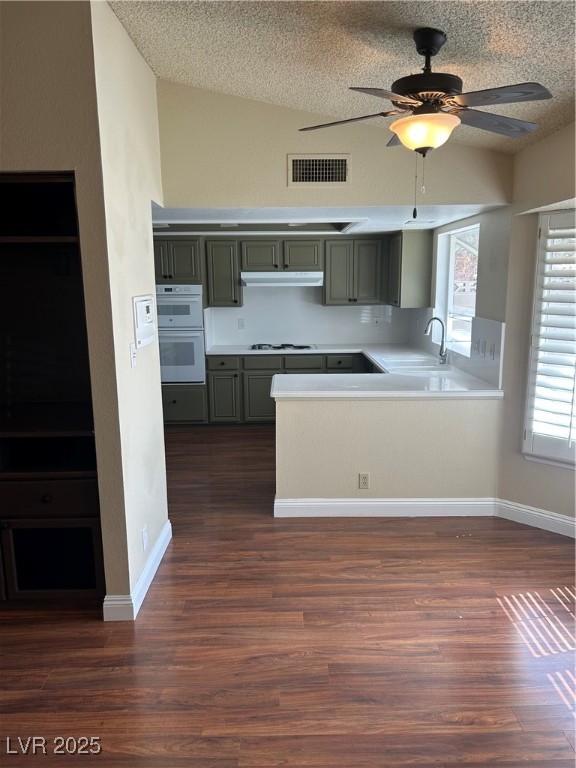 8641 Surtidor Drive, Las Vegas, Nevada image 13
