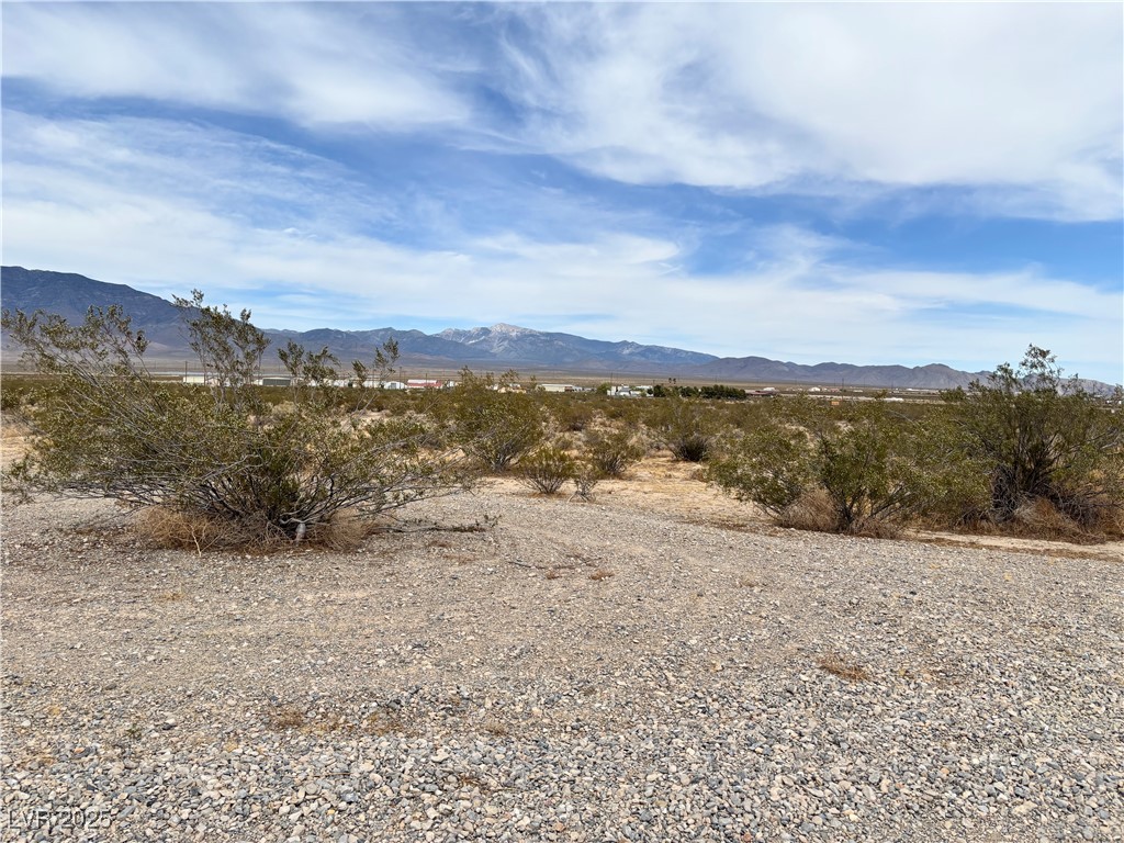 3221 N Chestnut Place, Pahrump, Nevada image 3