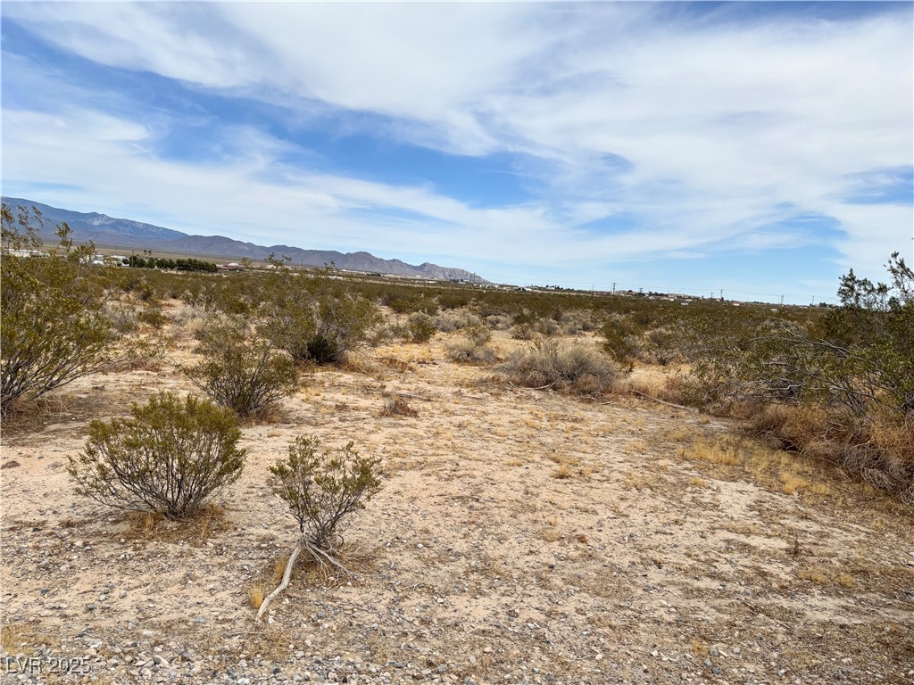 3221 N Chestnut Place, Pahrump, Nevada image 1