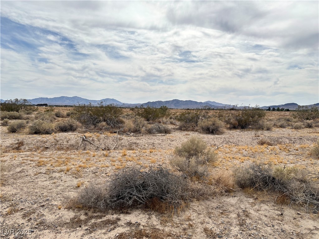 3221 N Chestnut Place, Pahrump, Nevada image 4