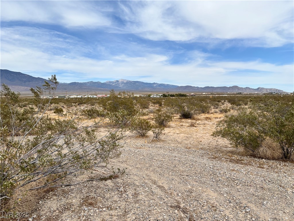 3221 N Chestnut Place, Pahrump, Nevada image 2