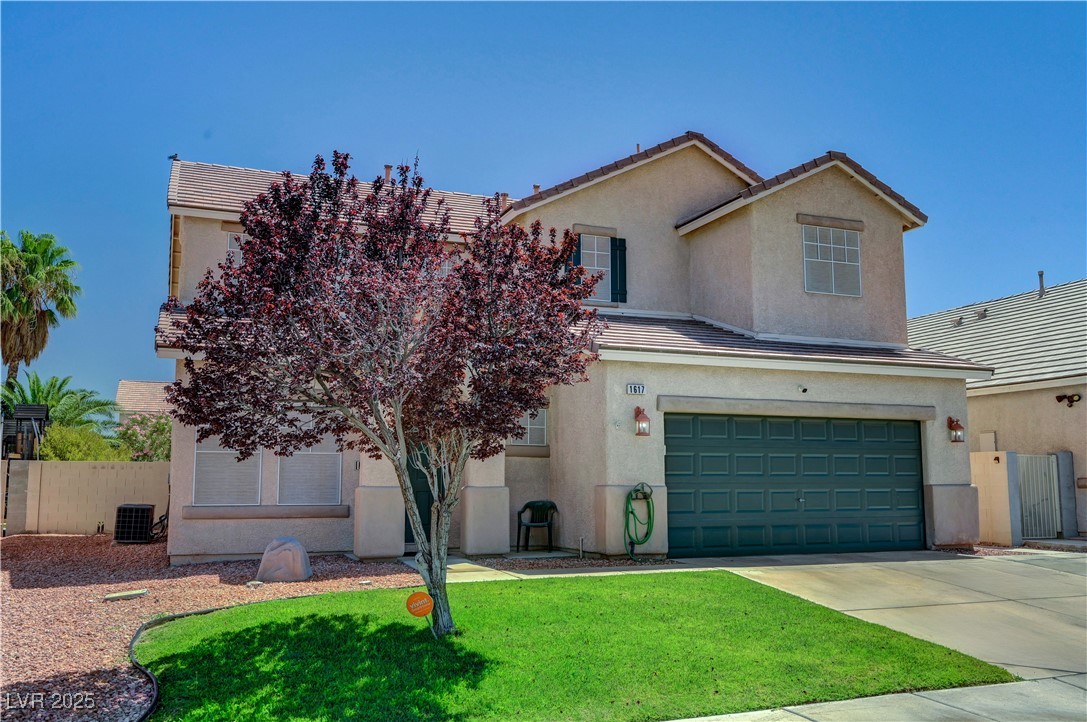 1617 Paradise Reef Avenue