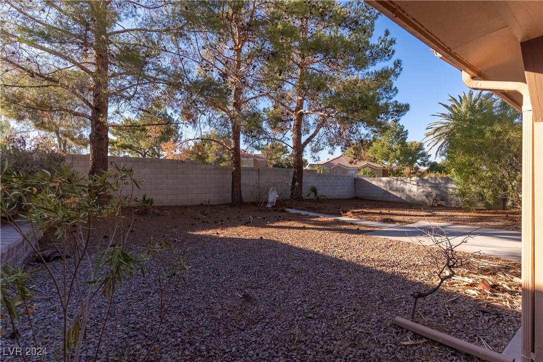 81 Myrtle Beach Drive, Henderson, Nevada image 31