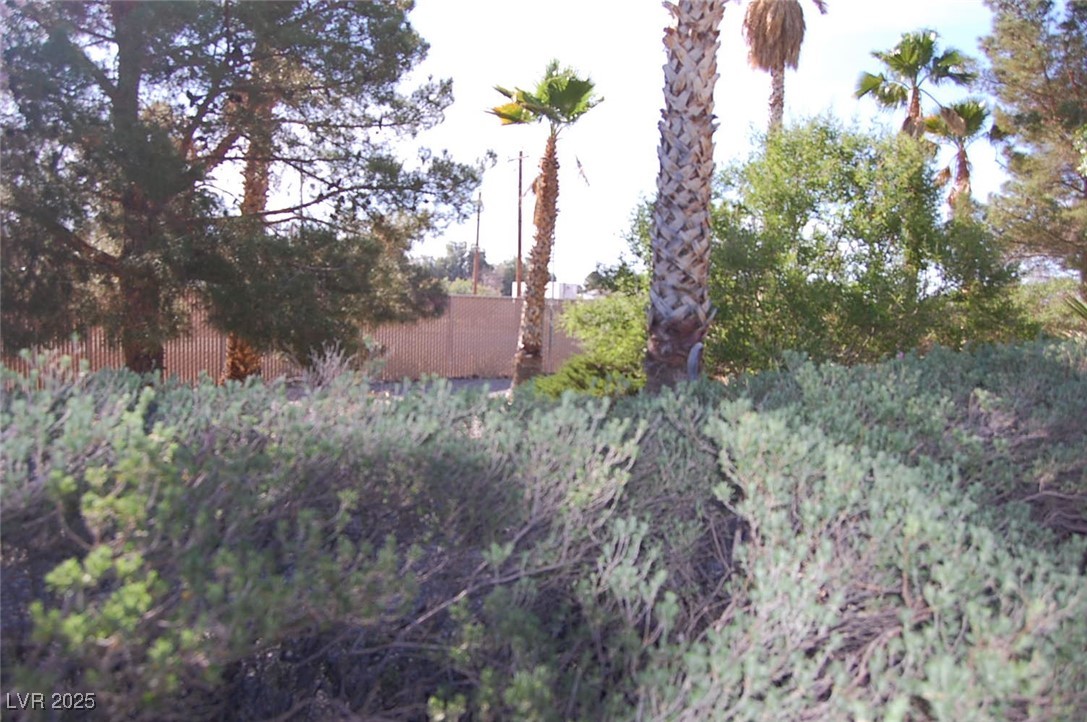 30 Diamond Bar Road, Pahrump, Nevada image 33