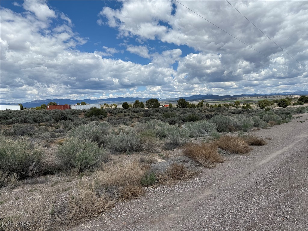 Hickory, Pioche, Nevada image 9