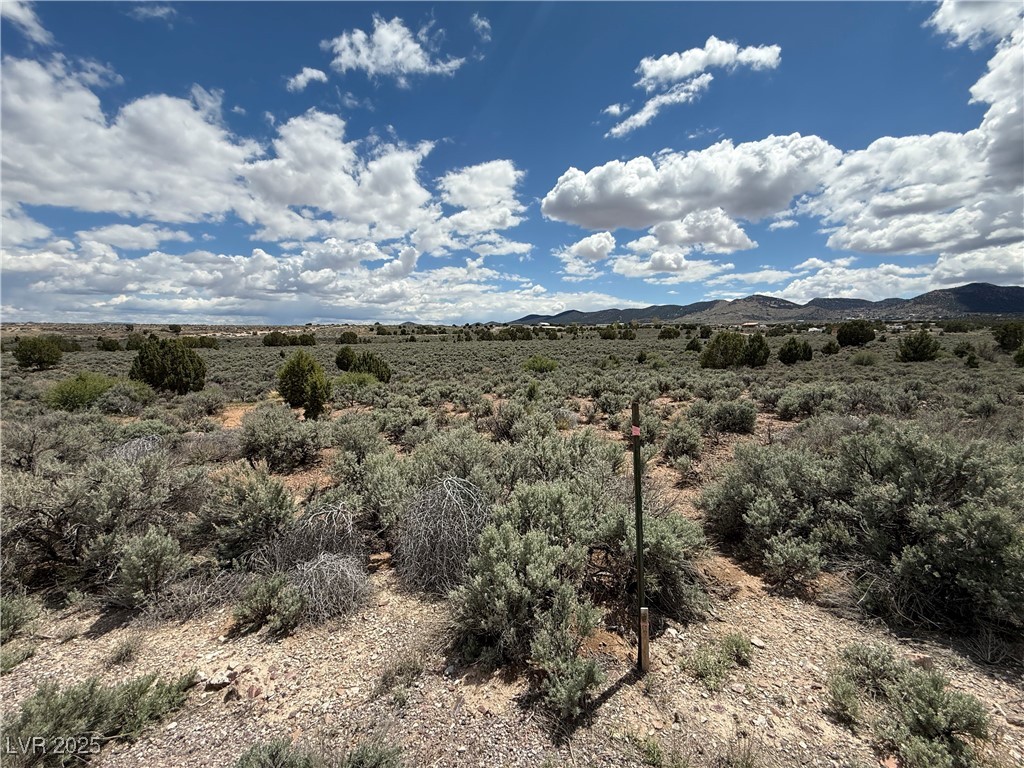 Hickory, Pioche, Nevada image 5