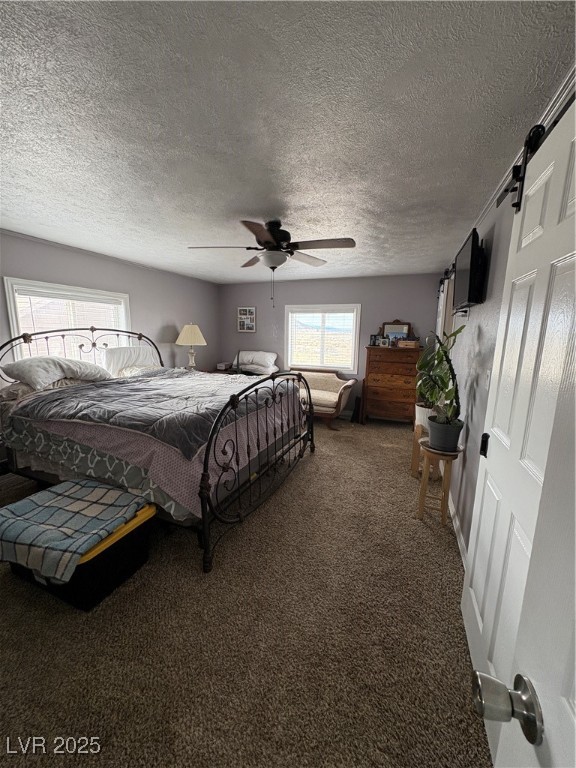 540 E 46th South Street, Ely, Nevada image 8