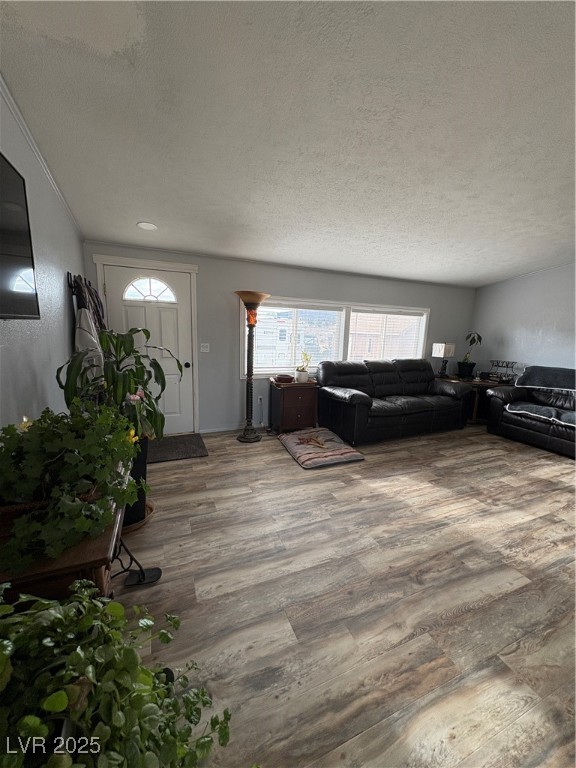 540 E 46th South Street, Ely, Nevada image 5