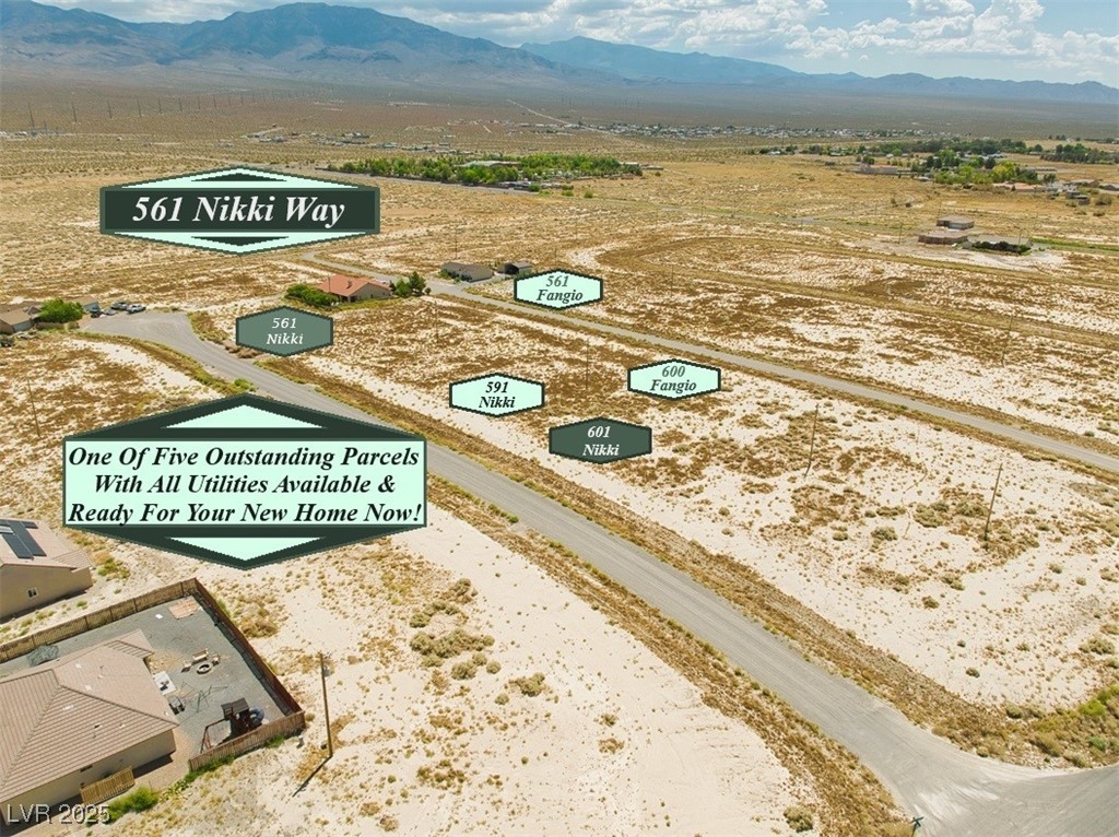 561 W Nikki Way, Pahrump, Nevada image 2