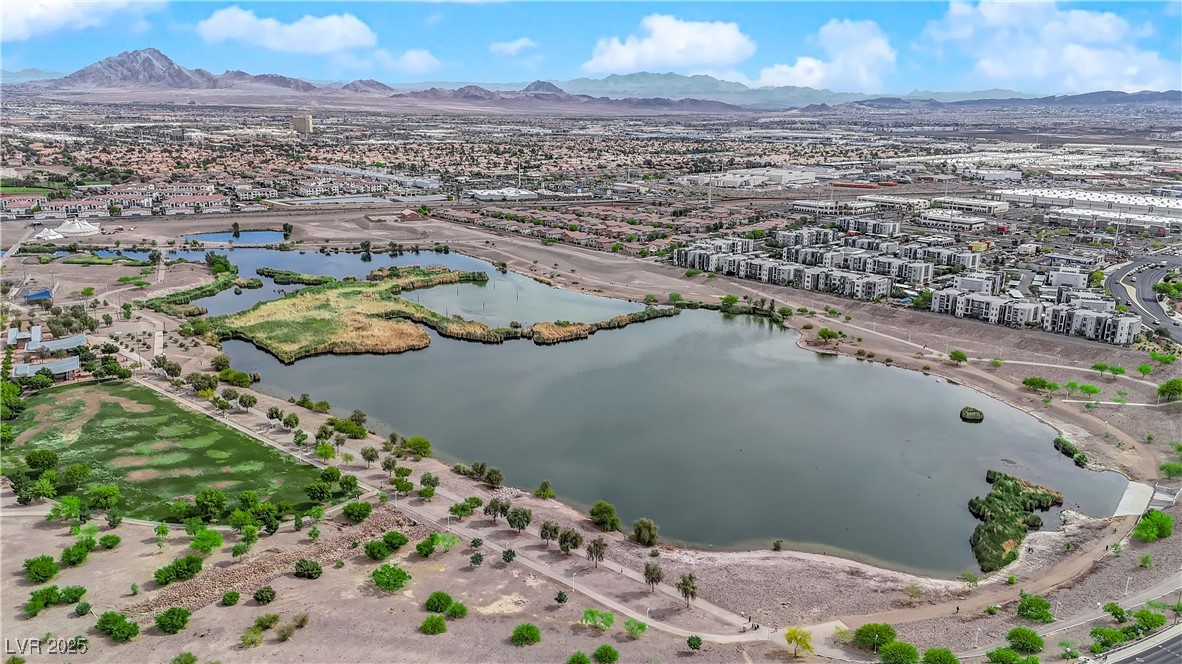 1525 Spiced Wine Avenue #10102, Henderson, Nevada image 33