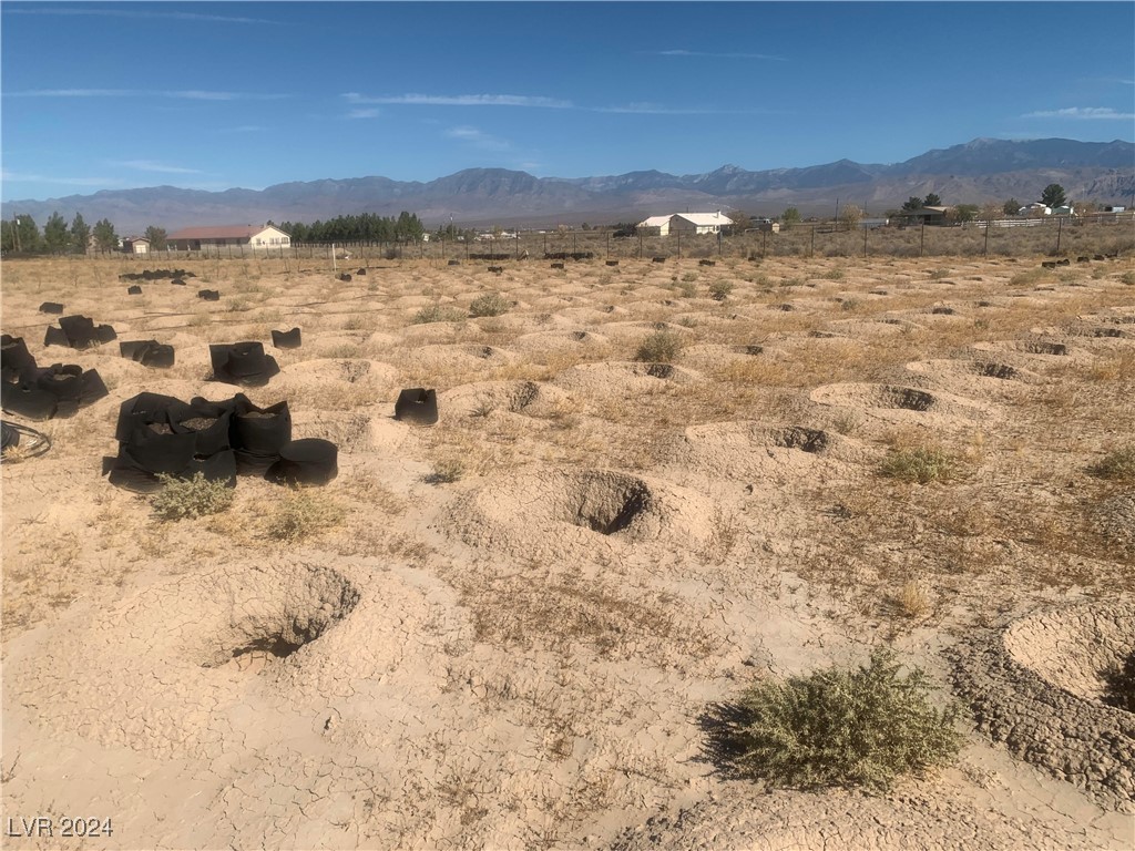 961 W Elderberry Street, Pahrump, Nevada image 13