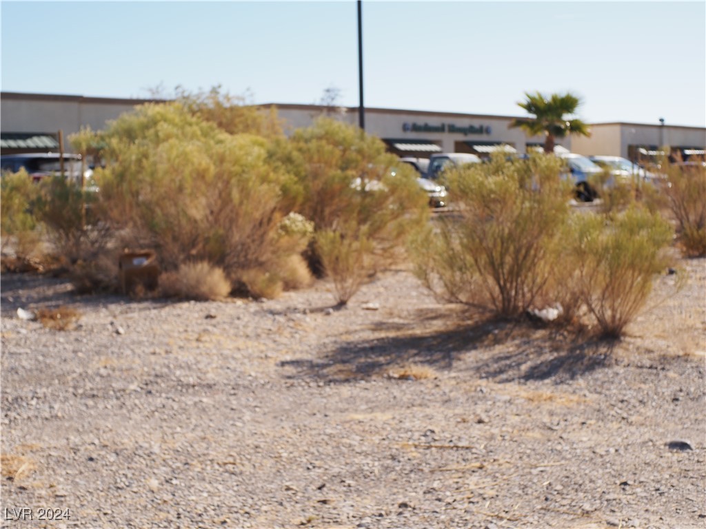 1571 E Basin Avenue, Pahrump, Nevada image 7