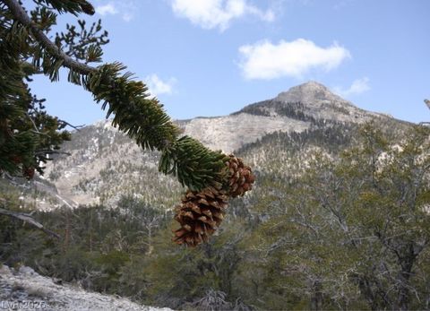 Tiny photo for 4187 Matterhorn Way, Mount Charleston, NV 89124 (MLS # 2789180)